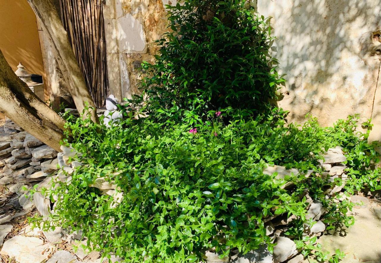 Cazouls-lès-Béziers Appartement Avec Jardin Privatif المظهر الخارجي الصورة