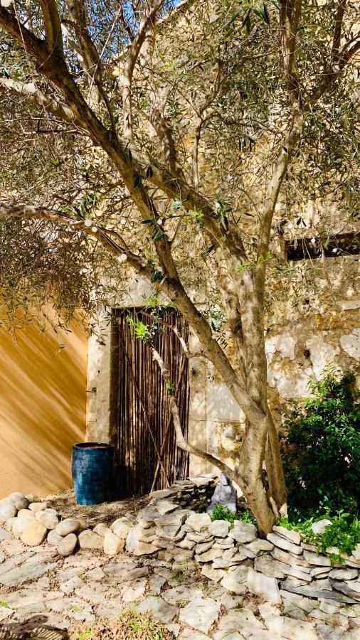 Cazouls-lès-Béziers Appartement Avec Jardin Privatif المظهر الخارجي الصورة